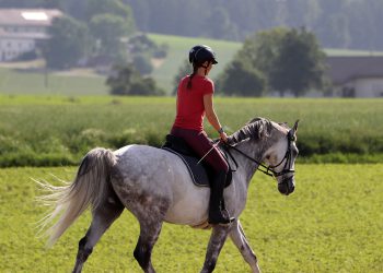 Waarom paardrijden iedere keer weer echt genieten is