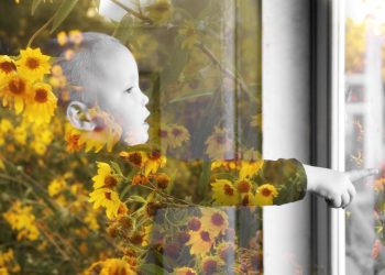 Waarom kiezen voor dubbel glas?