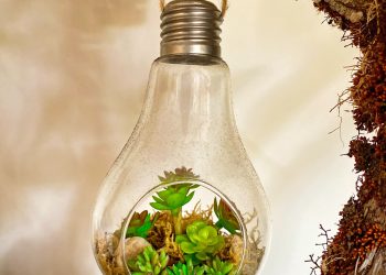 Wil je duurzamer leven? Dat doe je zo!