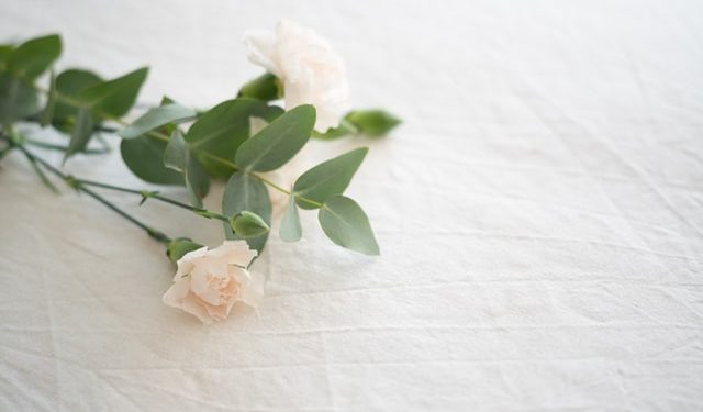 Een uitvaartverzekering wanneer je jong bent. Verstandig?