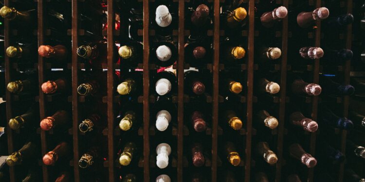 Wat voor type wijnkoelkast past bij jouw keuken?