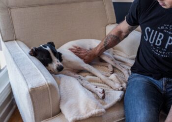 Baden in de luxe van heerlijke relaxstoelen