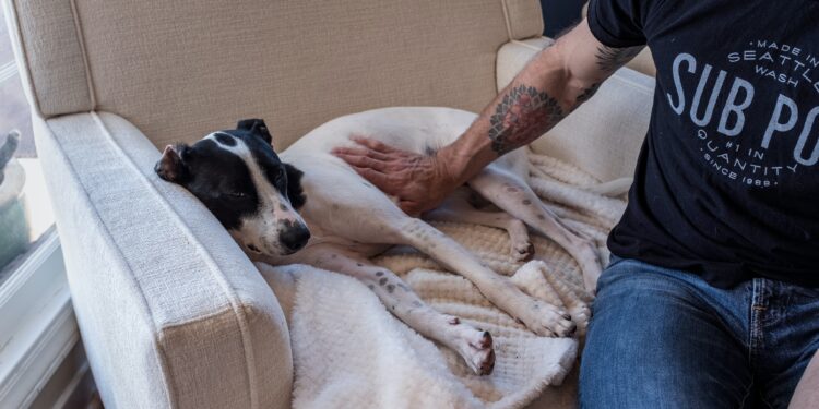 Baden in de luxe van heerlijke relaxstoelen