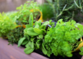 Maak je tuin zomerklaar met een houten bloembak