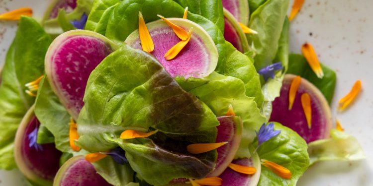 Variatie in maaltijden met pakketten