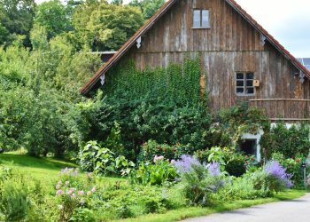 Voor- en nadelen van een tuinkantoor