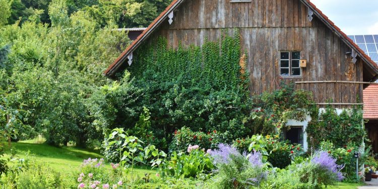 Voor- en nadelen van een tuinkantoor