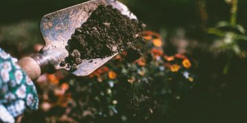 Van zandbak tot droomtuin: zo haal je het maximale uit je buitenruimte