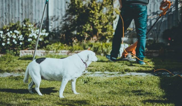 Je tuin renoveren? Gebruik dit stappenplan